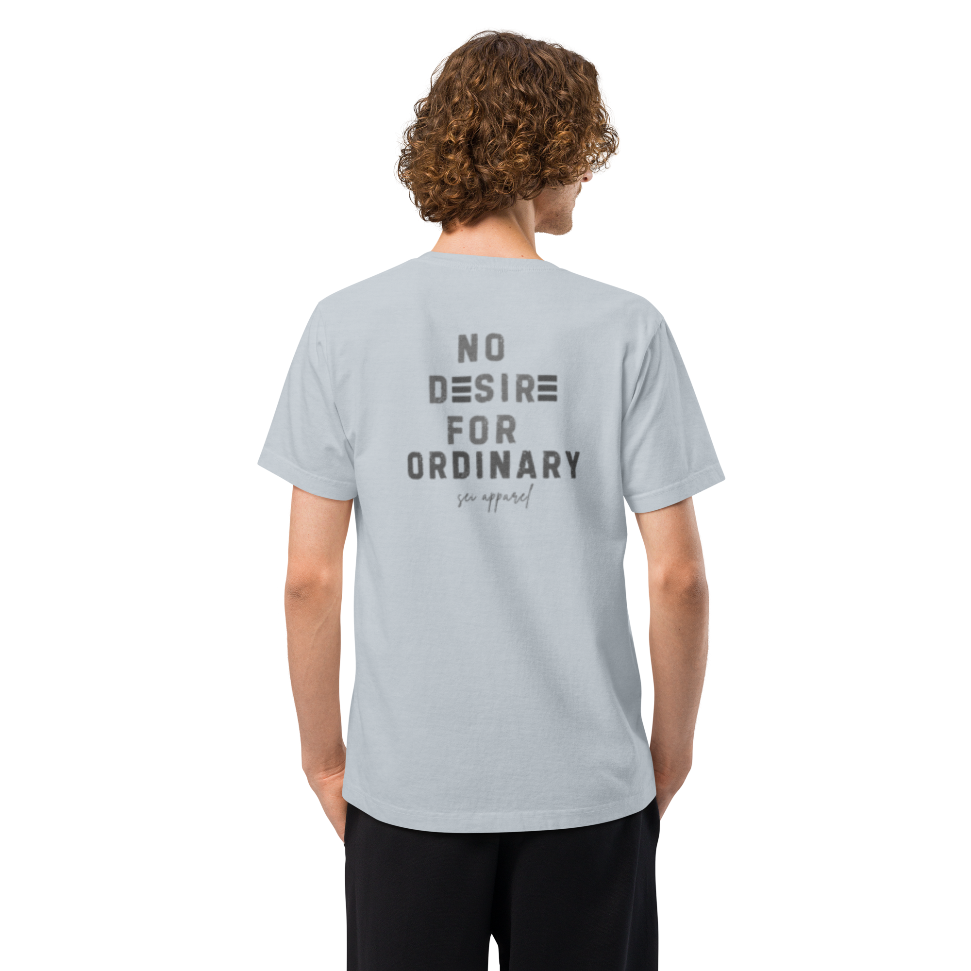 No Desire For Ordinary Tee (Gray logo)
